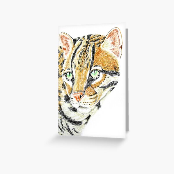 Item preview, Ocelot  designed and sold by CateCameron-art.