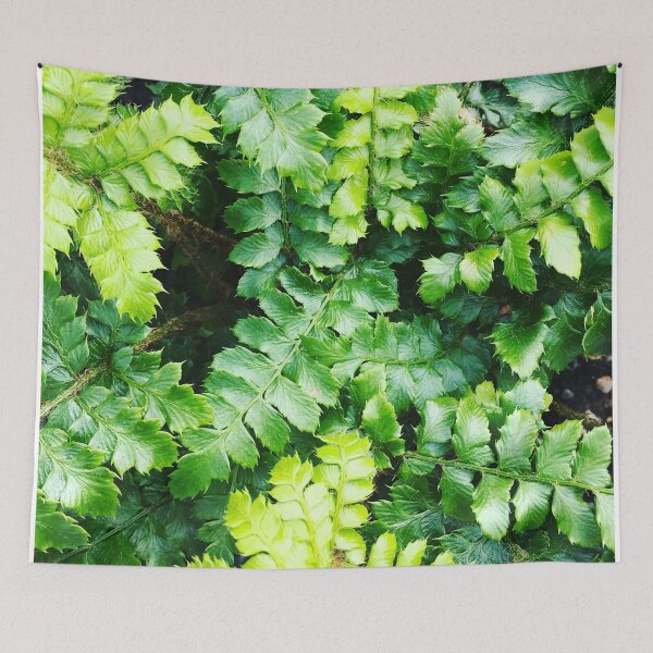 Item preview, Very Ferny designed and sold by Jenny Wagg.