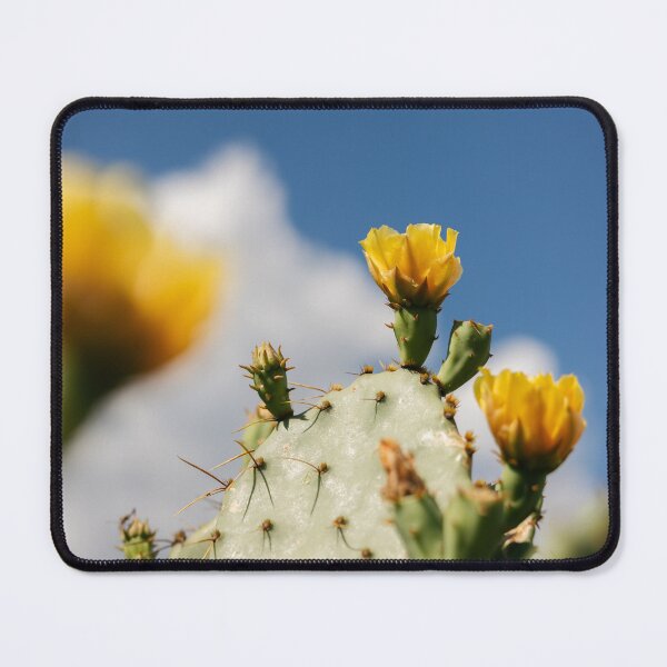 Item preview, Prickly designed and sold by overthefence.