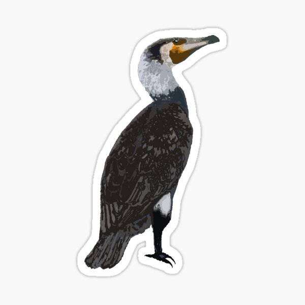 Item preview, Cormorant designed and sold by blueberry-dino.