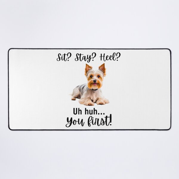 Item preview, Funny Biewer Terrier – “Sit? Stay? Heel? Uh huh. You First!” | Sassy Small Dog Attitude designed and sold by Fredster1966.