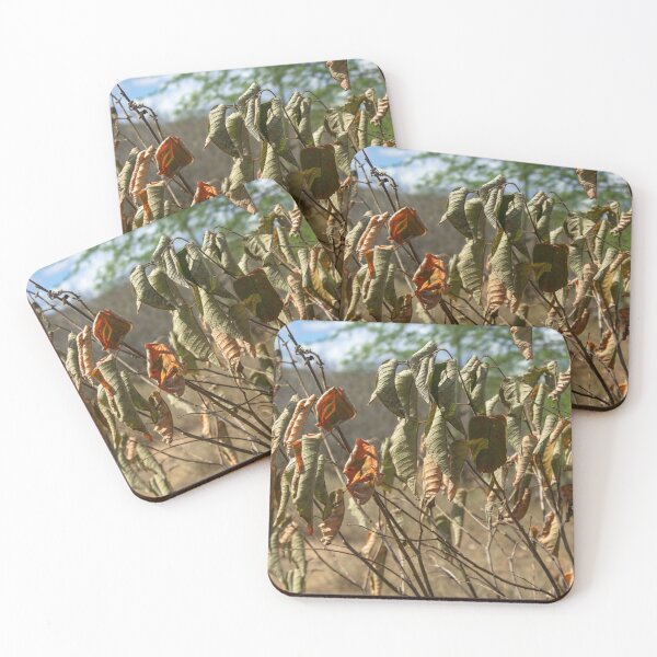 Item preview, withered and wind-dried leaves designed and sold by felipequeiroz.