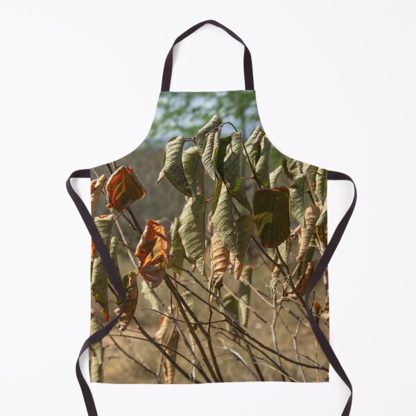 Item preview, withered and wind-dried leaves designed and sold by felipequeiroz.