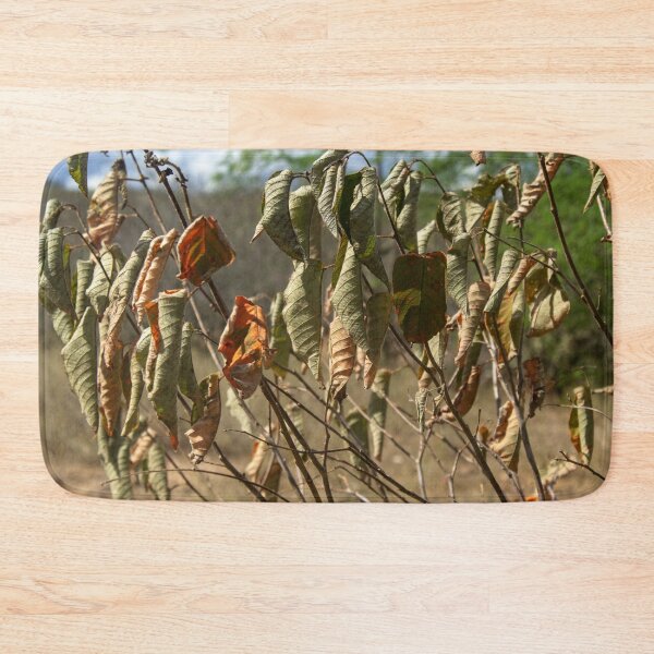Item preview, withered and wind-dried leaves designed and sold by felipequeiroz.
