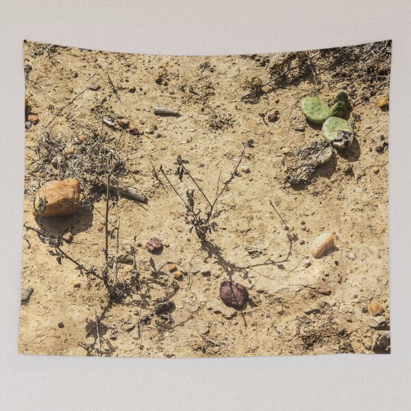 Item preview, dry land with some stones designed and sold by felipequeiroz.