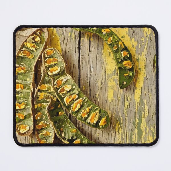 Item preview, Seed pods from a Brush Wattle tree designed and sold by WildLadyWood.