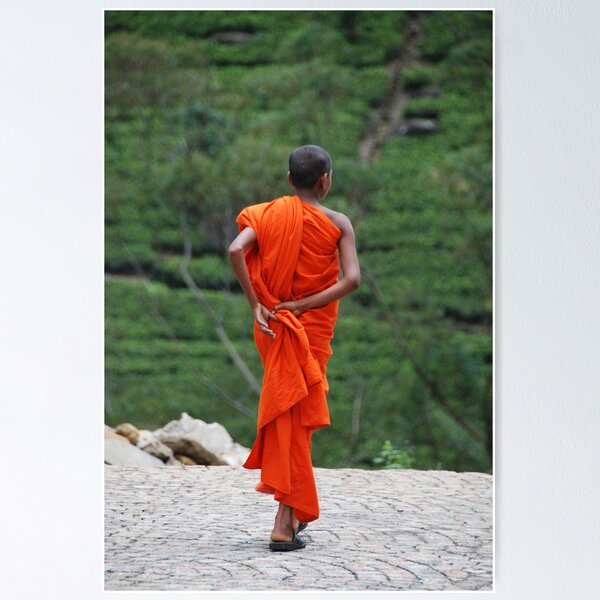 Item preview, buddhist monk designed and sold by steveault.