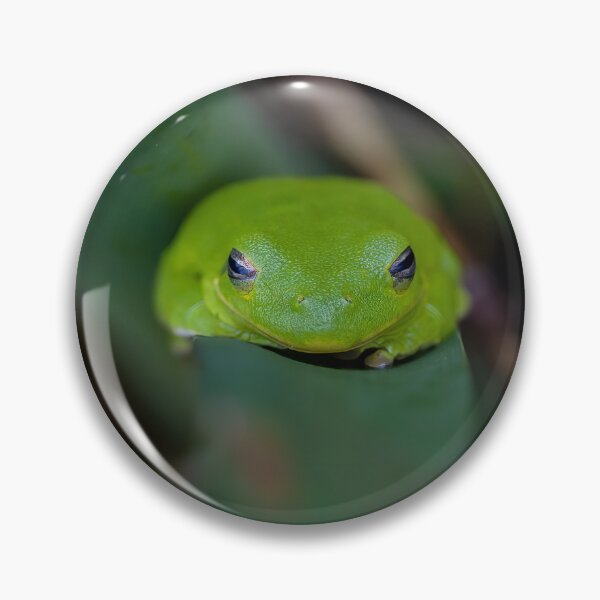 Item preview, Green tree frog designed and sold by Shannon Emmel .