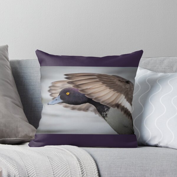 Item preview, Lesser scaup in flight designed and sold by Shannon Emmel .