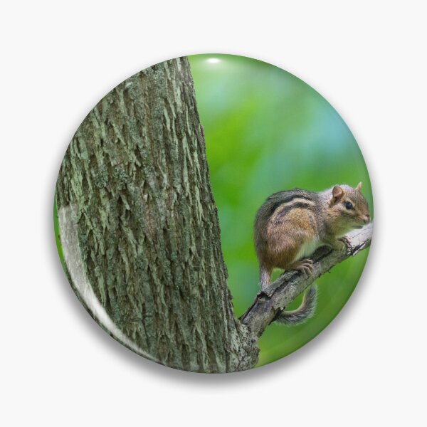 Item preview, Chunky Chipmunk resting on branch designed and sold by StraightFace08.