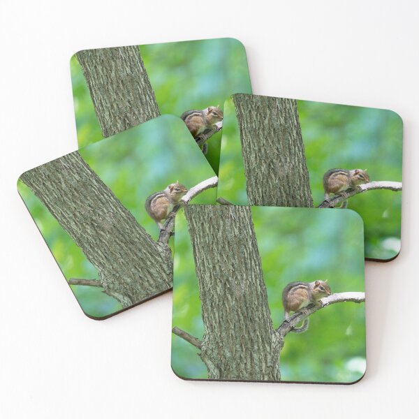 Item preview, Chunky Chipmunk resting on branch designed and sold by StraightFace08.