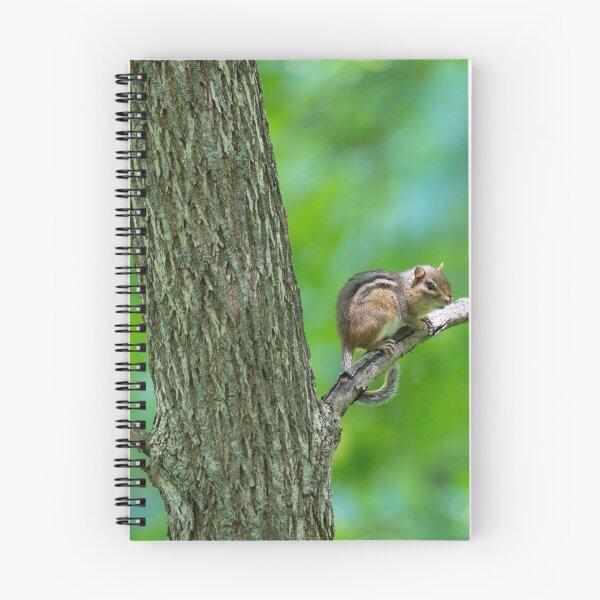 Item preview, Chunky Chipmunk resting on branch designed and sold by StraightFace08.