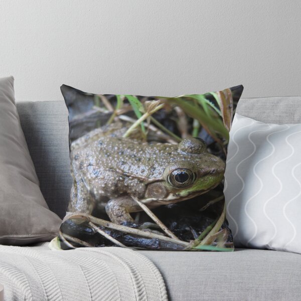 Aperçu de l'œuvre Petite grenouille verte créée et vendue par catrantula.