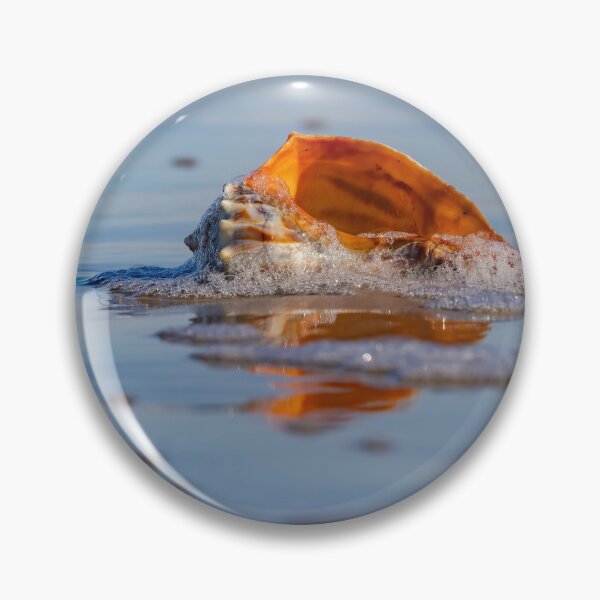 Item preview, Whelk shell  designed and sold by Shannon Emmel .