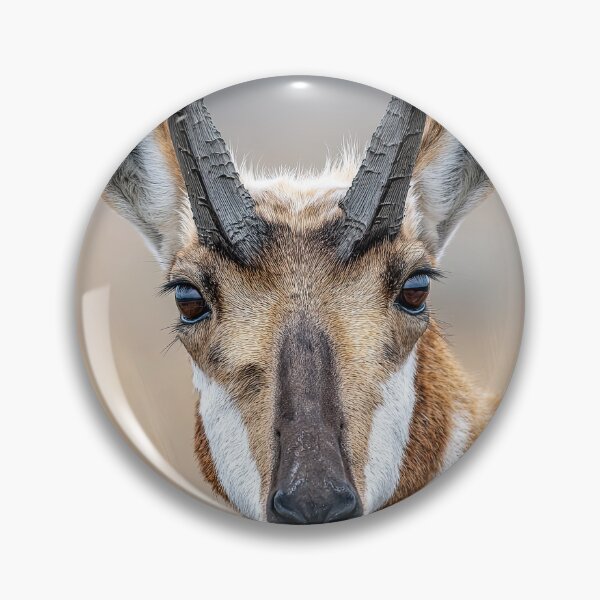 Item preview, Pronghorn Face designed and sold by Elisabeth Lucas.