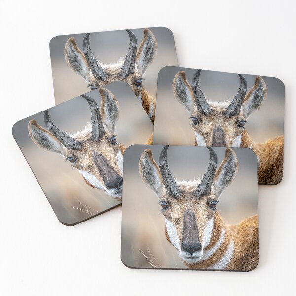Item preview, Pronghorn Face designed and sold by Elisabeth Lucas.
