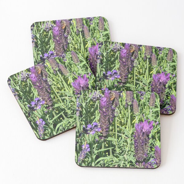 Item preview, Hidden Treasures in the Lavender designed and sold by Betsy Phillips.