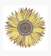 Sonnenblume-Mandala Fotodruck