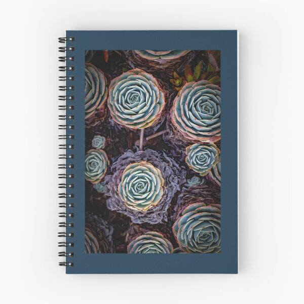 Item preview, Echeveria elegans designed and sold by Shannon Emmel .