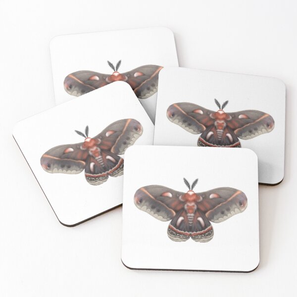 Item preview, Cecropia Moth designed and sold by Modsecai.