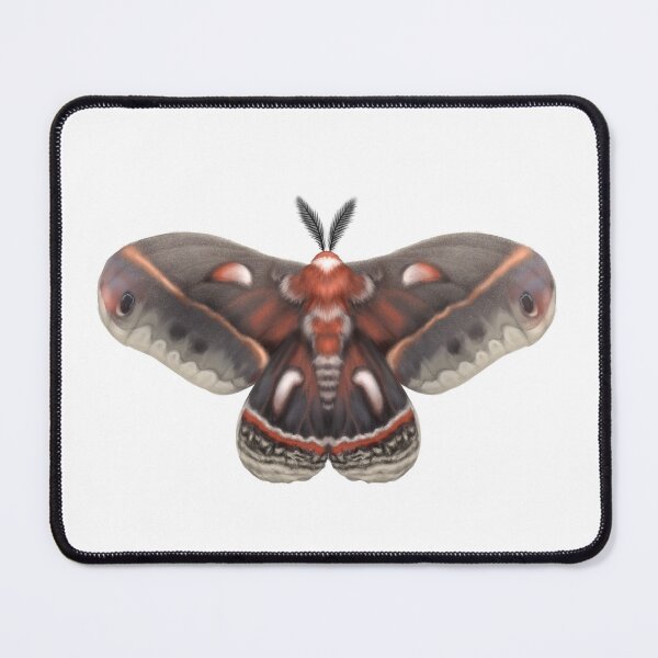 Item preview, Cecropia Moth designed and sold by Modsecai.