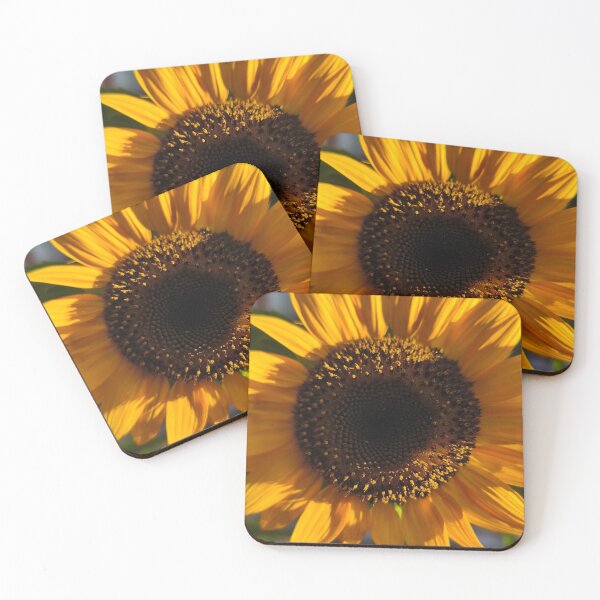 Item preview, Sunflower aka sunflower designed and sold by kellen-plg.