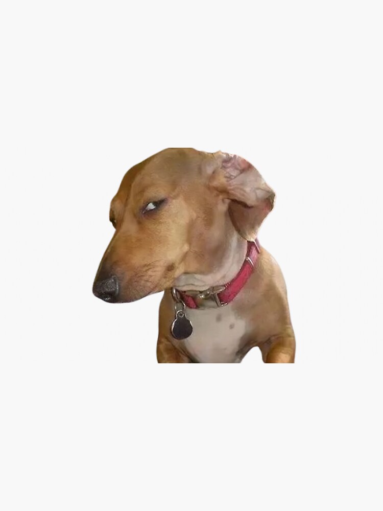 Side eye doggy Sticker