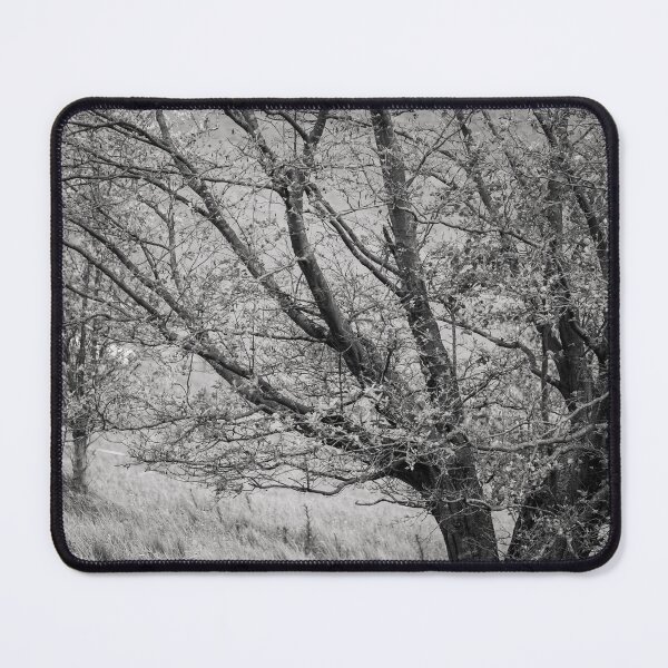 Item preview, Sheep Beneath the Tree – Black and White Stillness designed and sold by alicjamiekina.