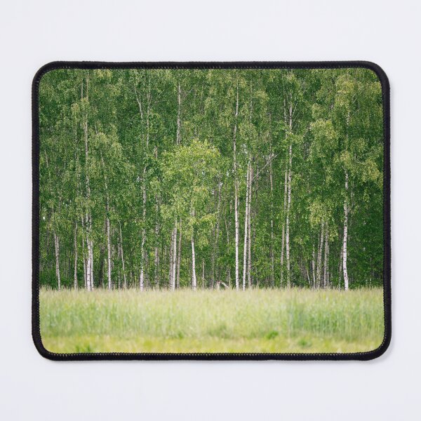 Item preview, Rhythm of Birch Forest designed and sold by alicjamiekina.