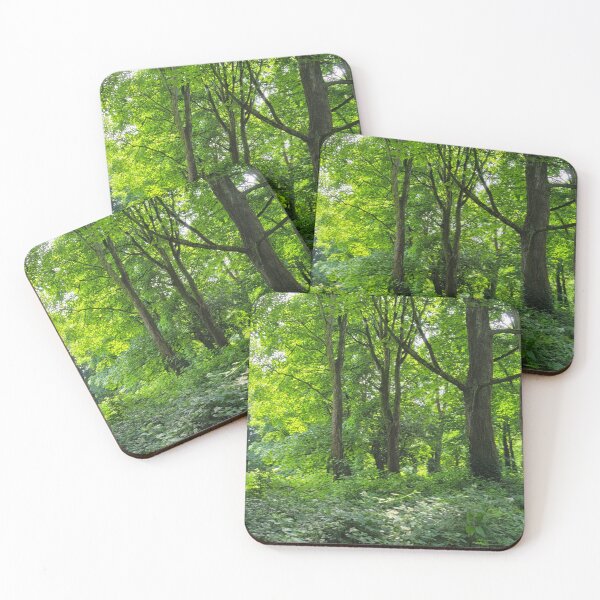 Item preview, Beautiful green forest with large trees designed and sold by CholiBe.
