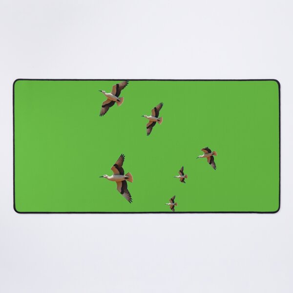 Item preview, Birds designed and sold by AwesomeDigiShop.
