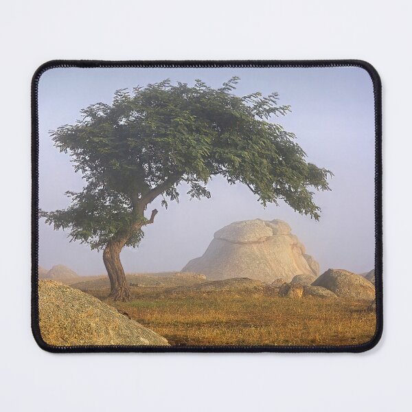 Item preview, 2246 Tree and Rocks designed and sold by Hans Kawitzki.