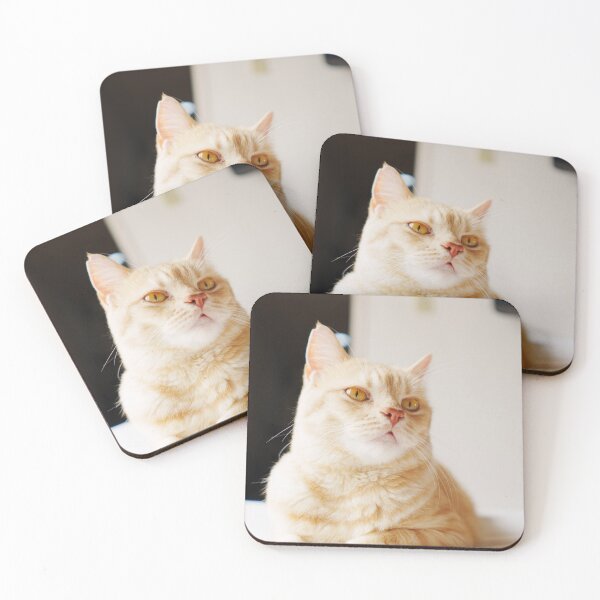 Item preview, Regal Feline in Soft Light designed and sold by ClaraCaptures.