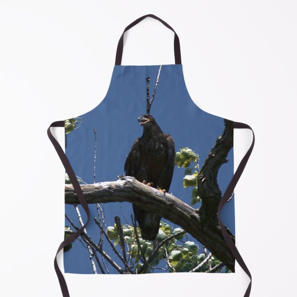 Item preview, Juvenile Bald Eagle on a Hot Day designed and sold by gistinker.