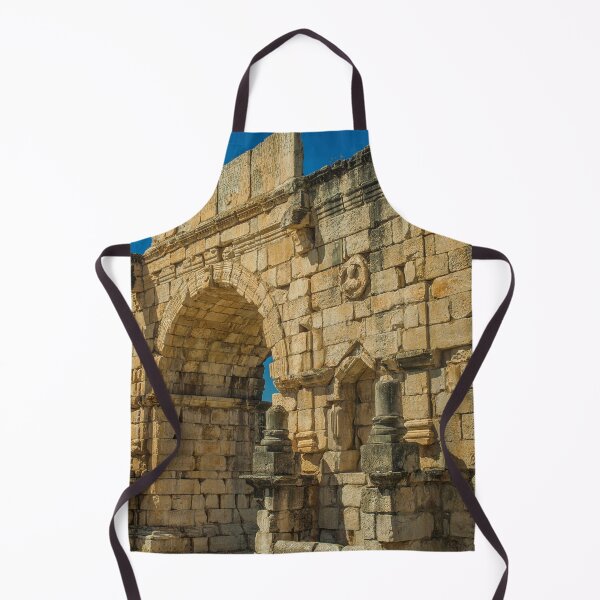 Item preview, North side of the Arch of Caracalla at Volubilis designed and sold by Photopat.