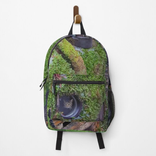 Item preview, "Kitten in the window" designed and sold by DisaM.