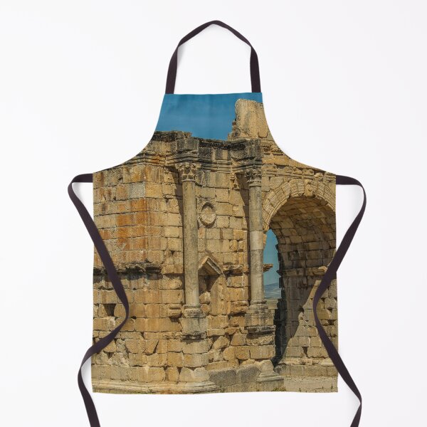 Item preview, North side of the Arch of Caracalla at Volubilis designed and sold by Photopat.