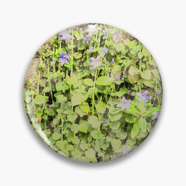 Item preview, Wallflowers Watercolour designed and sold by Graz-Photos.