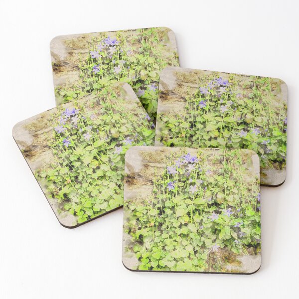 Item preview, Wallflowers Watercolour designed and sold by Graz-Photos.