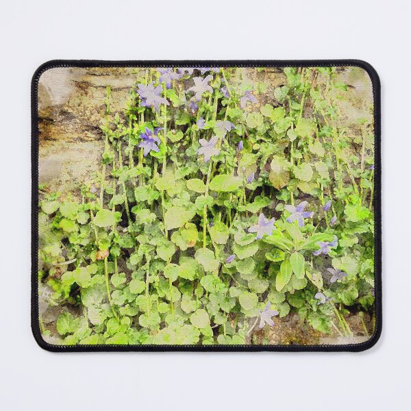 Item preview, Wallflowers Watercolour designed and sold by Graz-Photos.