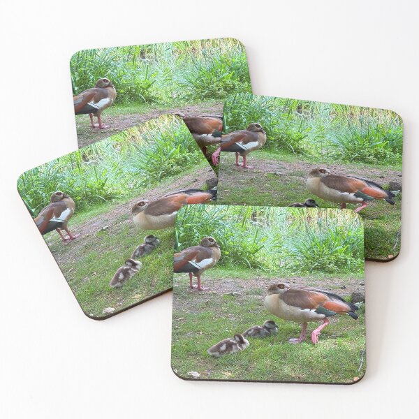 Item preview, Egyptian Geese designed and sold by Graz-Photos.