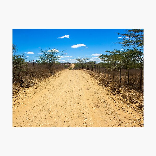 Item preview, dry and empty dirt road designed and sold by felipequeiroz.