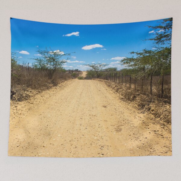 Item preview, dry and empty dirt road designed and sold by felipequeiroz.