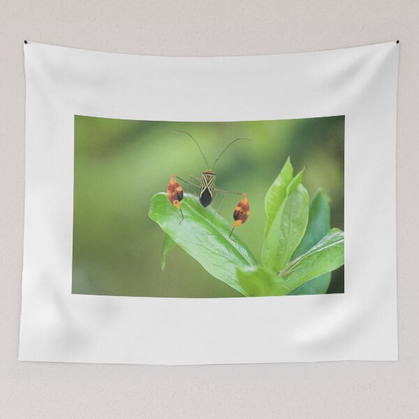 Item preview, olkarmoured designed and sold by pcfyi.