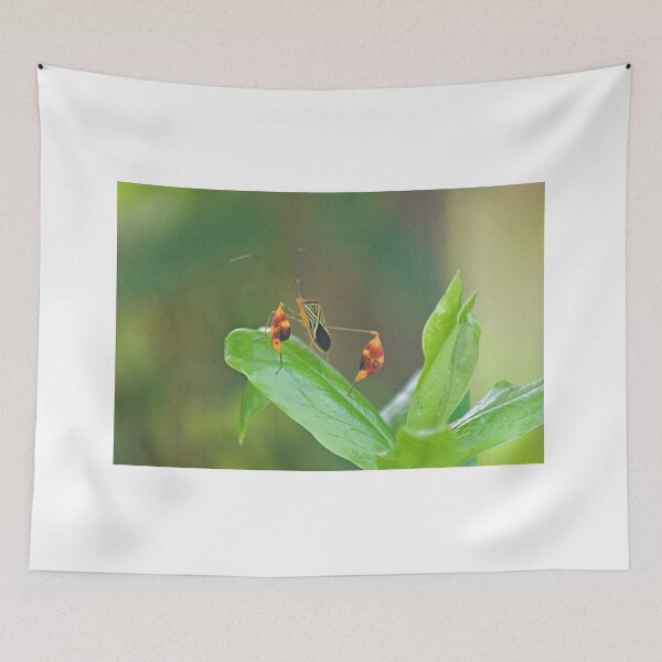 Item preview, Olk Colored designed and sold by pcfyi.