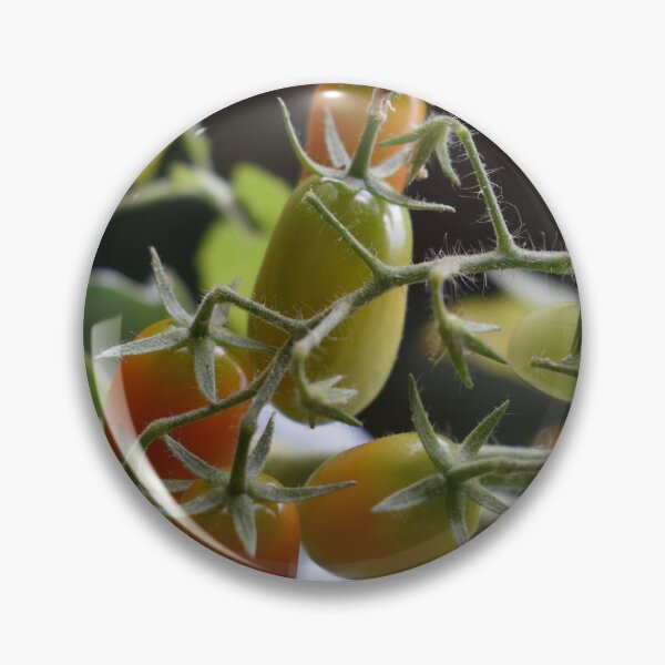 Item preview, Organic cherry tomatoes branch designed and sold by mariya-ivanova.