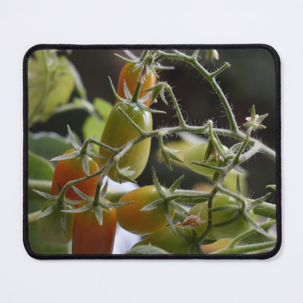 Item preview, Organic cherry tomatoes branch designed and sold by mariya-ivanova.