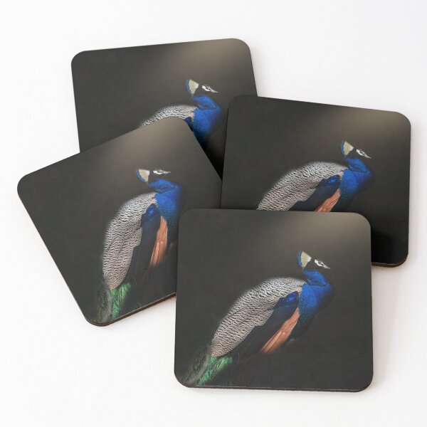 Item preview, Bathed in nature’s spotlight, the Indian peacock stands regal and radiant—an emblem of grace in the shadows of the wild designed and sold by Prakruti prints.