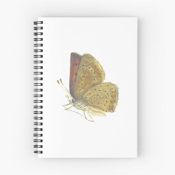 Item preview, Dorcas Copper Butterfly designed and sold by ashleyhudson.
