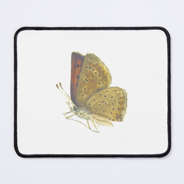 Item preview, Dorcas Copper Butterfly designed and sold by ashleyhudson.